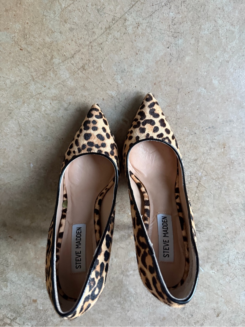 Steve Madden Leopard Pointed Toe Flats - Tan & Black
